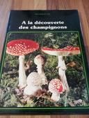 Livre à la découverte des champignons 📚