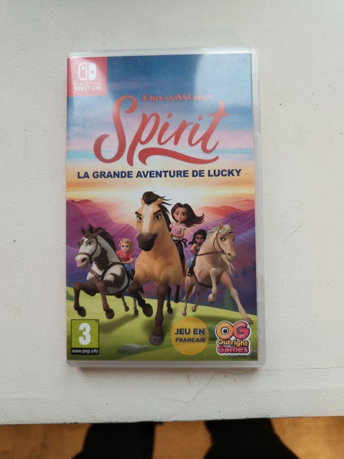 Jeu Switch spirit la grande aventure - photo numéro 1