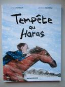 Tempête au Haras