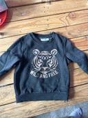 Pull tigre Orchestra 4 ans