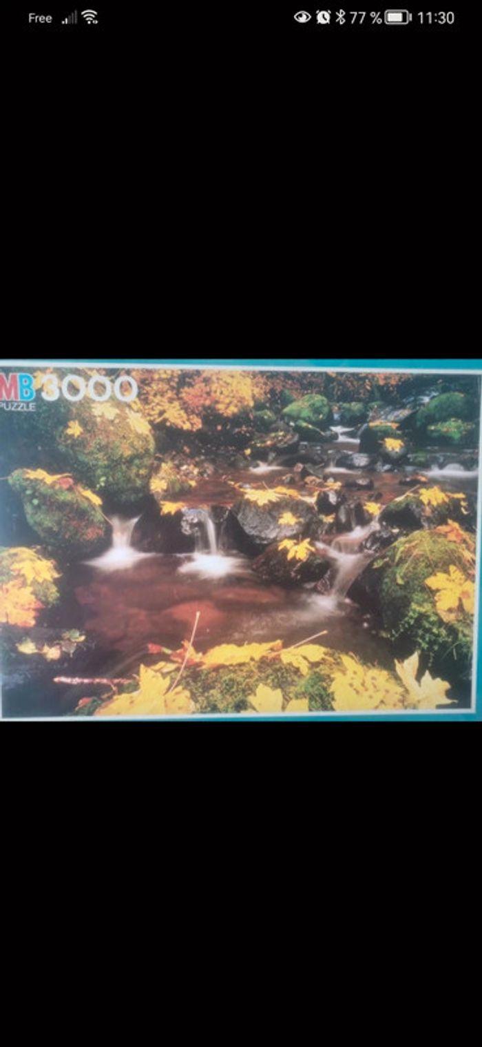 Puzzle 3000 pièces automne - photo numéro 1