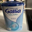 Lait gallia