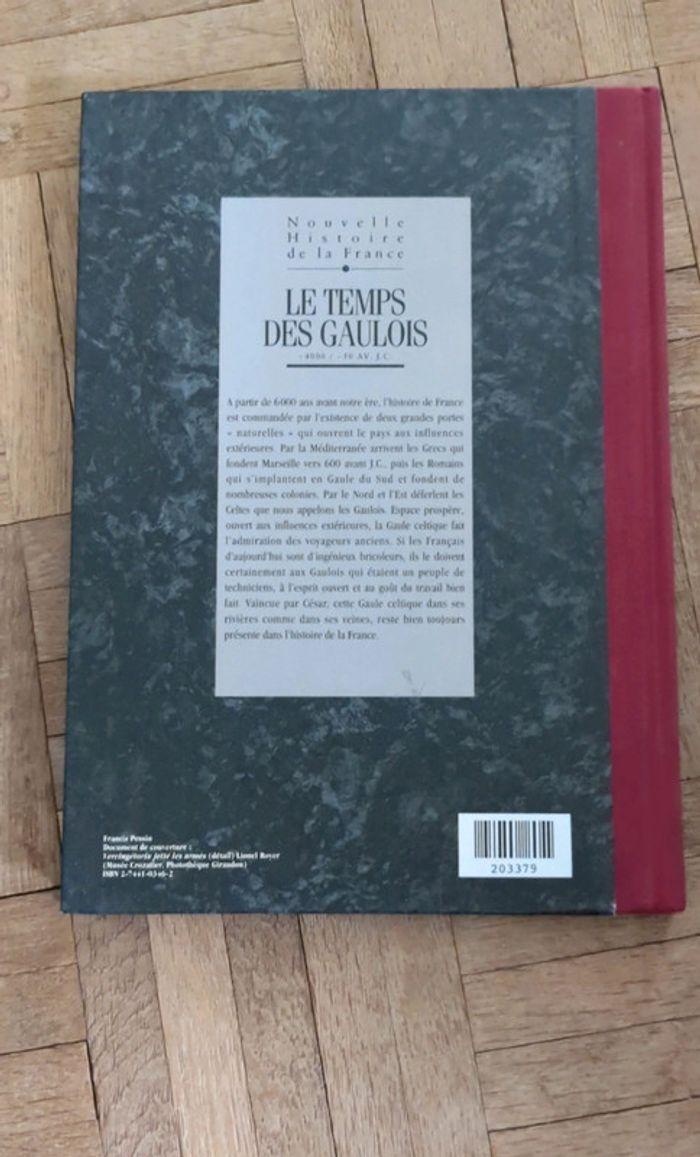 Le temps des gaulois - photo numéro 2