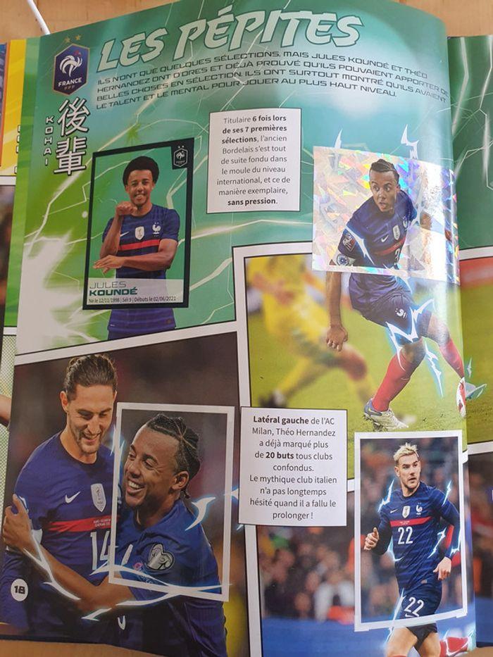 au plus près des bleus - photo numéro 20