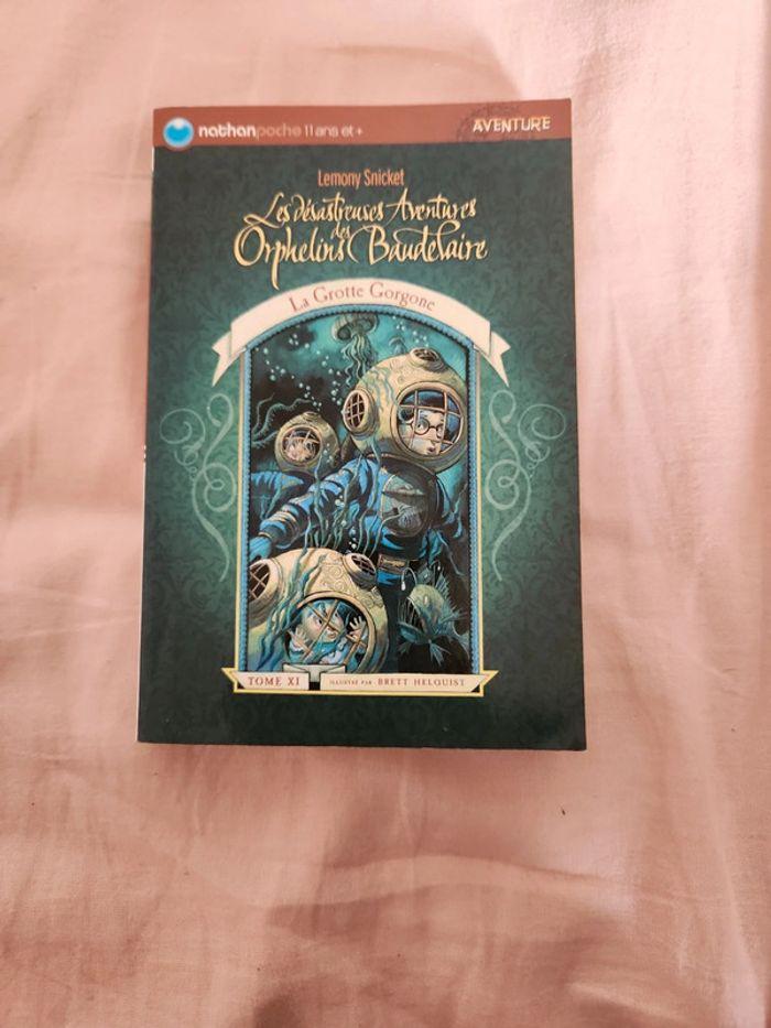 Les Désastreuses aventures des Orphelins Beaudelaire tome 11 - photo numéro 1