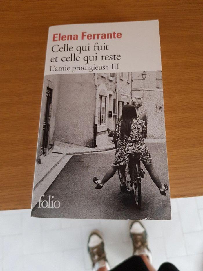 L'amie prodigieuse tome 3 Celle qui fuit et celle qui reste - Elena Ferrante - photo numéro 1