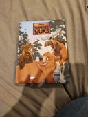 Livre Disney frère des ours