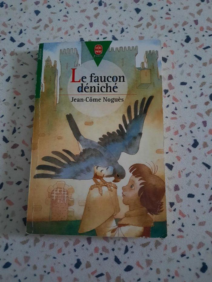 Livre: Le faucon déniché de Jean-Côme Noguès - photo numéro 1