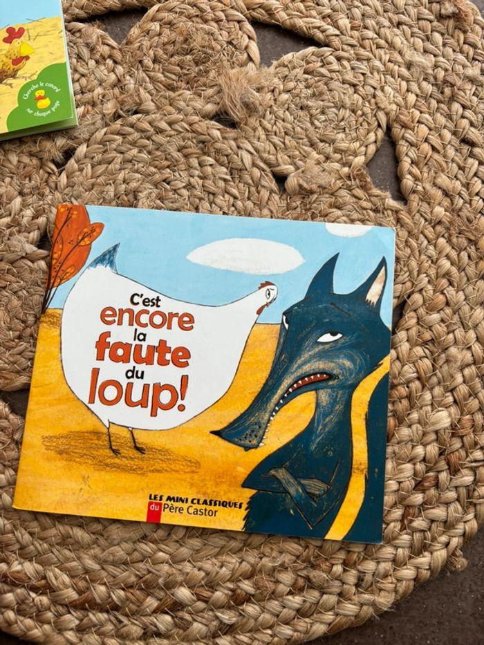 Lot 2 livres le chien tout fou et c’est encore la faute du loup - photo numéro 4