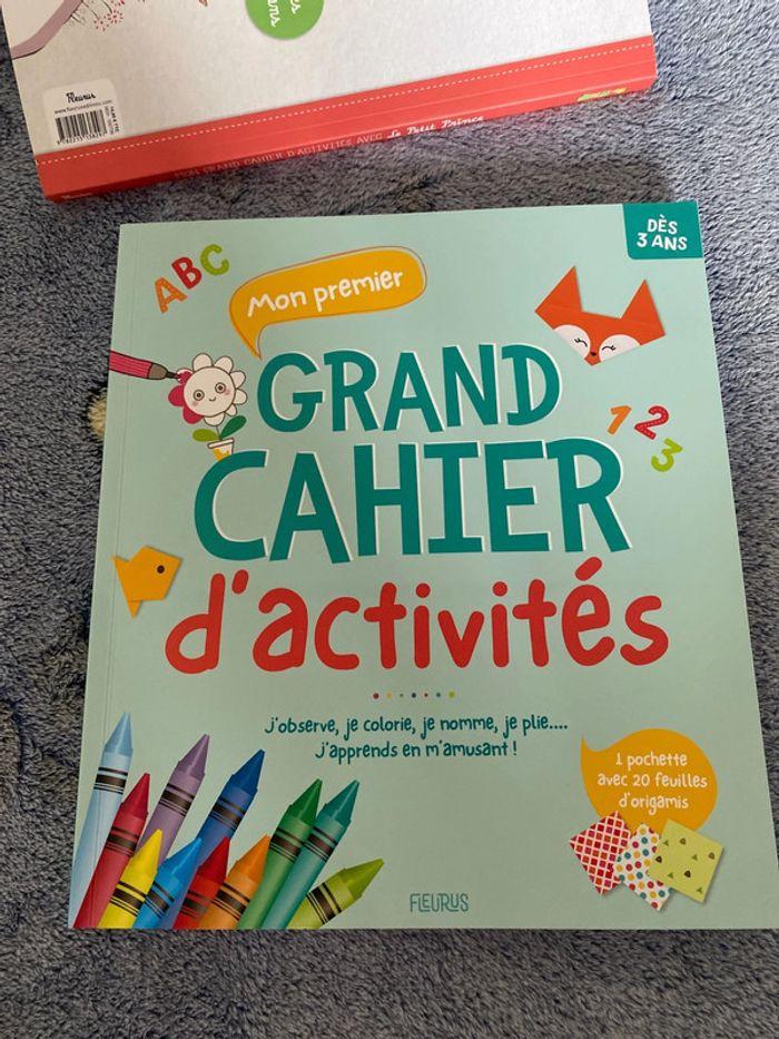 Livre Mon grand cahier d’activité des 3 ans - Neuf - photo numéro 1