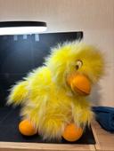 Grande peluche canard oiseau animal jaune Ajena