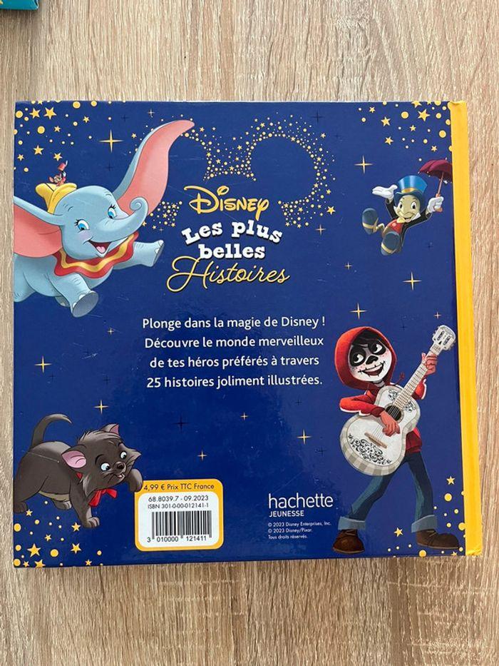 Livre disney - photo numéro 2