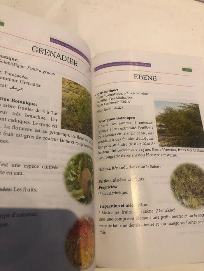 Receuil des plantes médicinales dans la region des Ziban livre nature - photo numéro 7