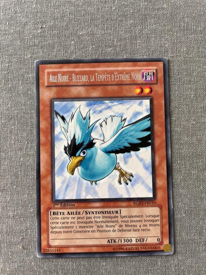 Yu-Gi-Oh! - Aile Noire - Blizzard, La Tempête D'extrême Nord (RGBT-FR010) - photo numéro 1