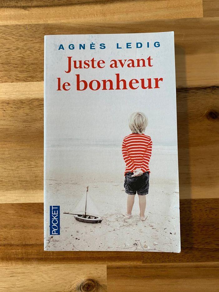 Roman Agnès Ledig - Juste avant le bonheur - photo numéro 1