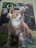 Je livre chat les chatons