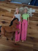 Lot 2 barbies avec leur poney