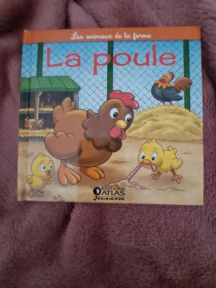 La poule - photo numéro 1