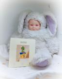 Anne Geddes poupée doll rabbit bunnies lapin yeux rouge carte blanc violet mauve 40 bébé