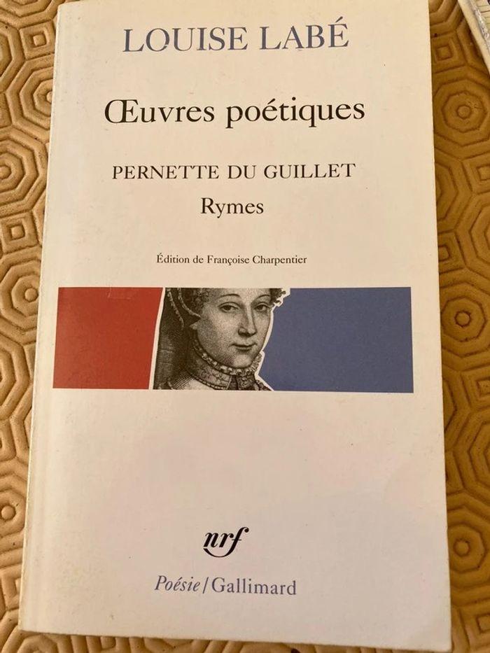 livre oeuvres poétiques louise labé - photo numéro 1