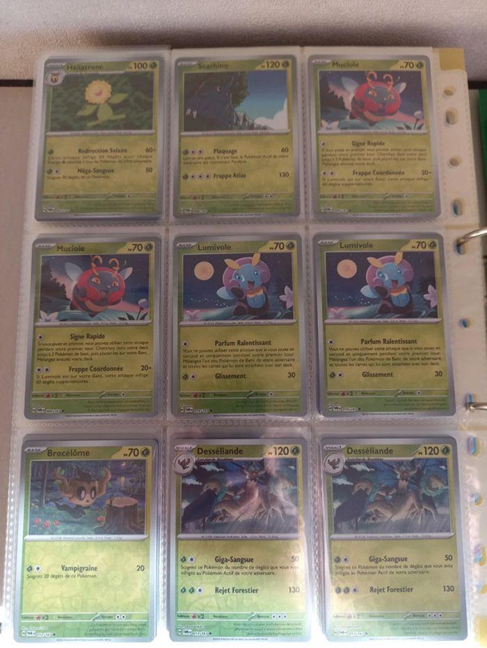 Carte pokémon reverse EV6 - photo numéro 2