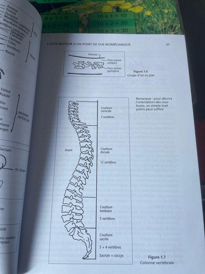 Guide de préparation au brevet D état D’éducateur sportif - photo numéro 10