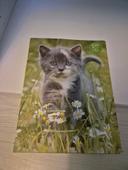 Cahier 24x32 chat grands carreaux 96 pages