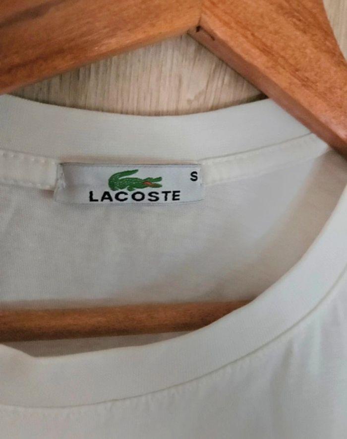 Tee-shirt Lacoste - photo numéro 2