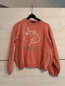 Pull licorne