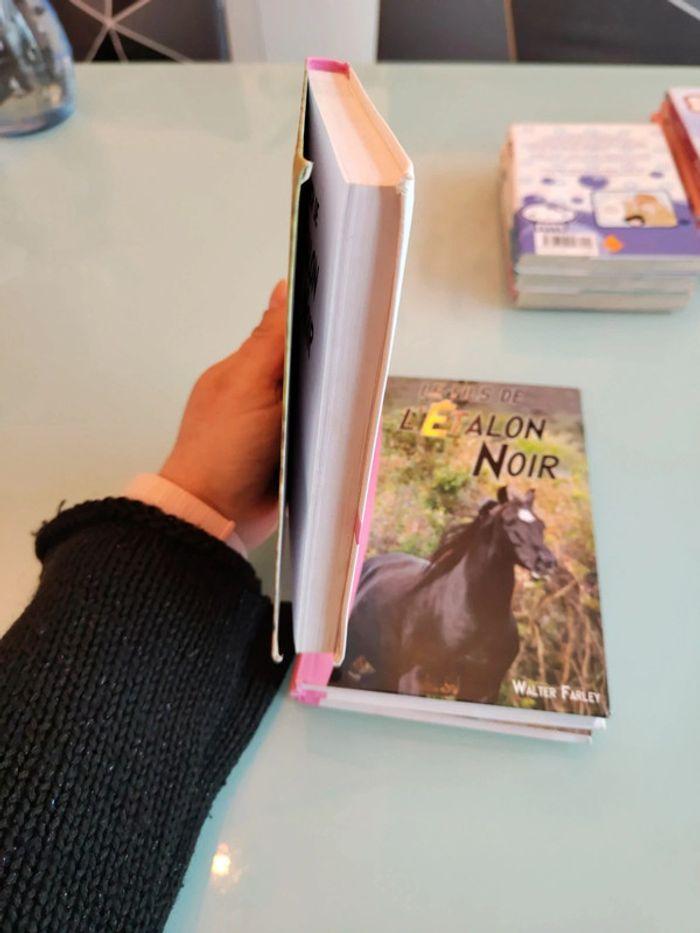 Le ranch de l'étalon noir tome 3 - photo numéro 3