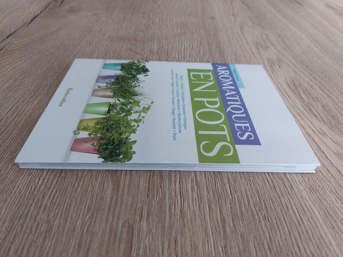 Livre "Aromatiques en pots" Rustica - photo numéro 6