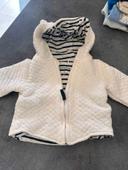 Veste matelassée à capuche bébé garçon