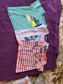 Lot de 3 tee shirts 12 mois