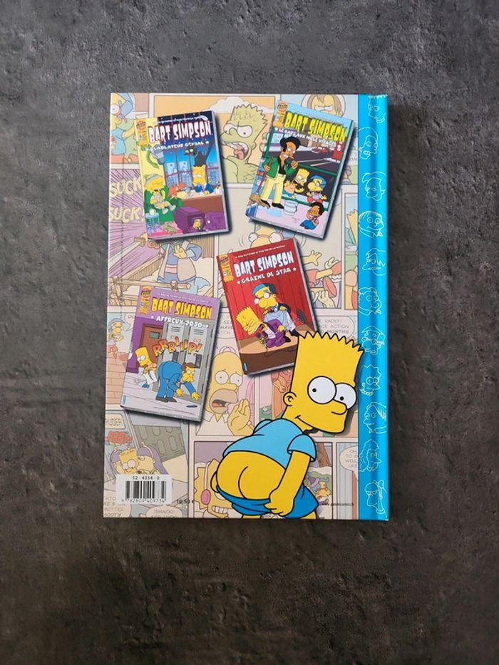 Livre Bart Simpsons - photo numéro 2