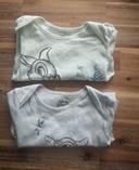 Lot de 2 bodys pan pan taille 9-12 mois