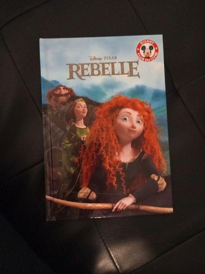 Livre Rebelle neuf - photo numéro 1