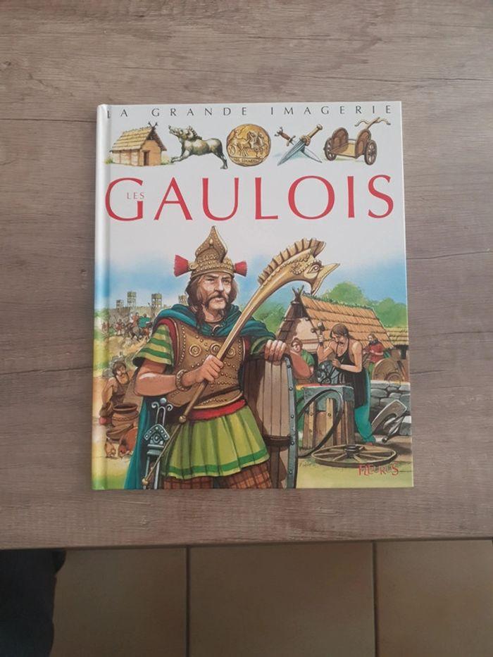 La grande imagerie les gaulois - photo numéro 2