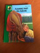 Livre flamme part en flèche