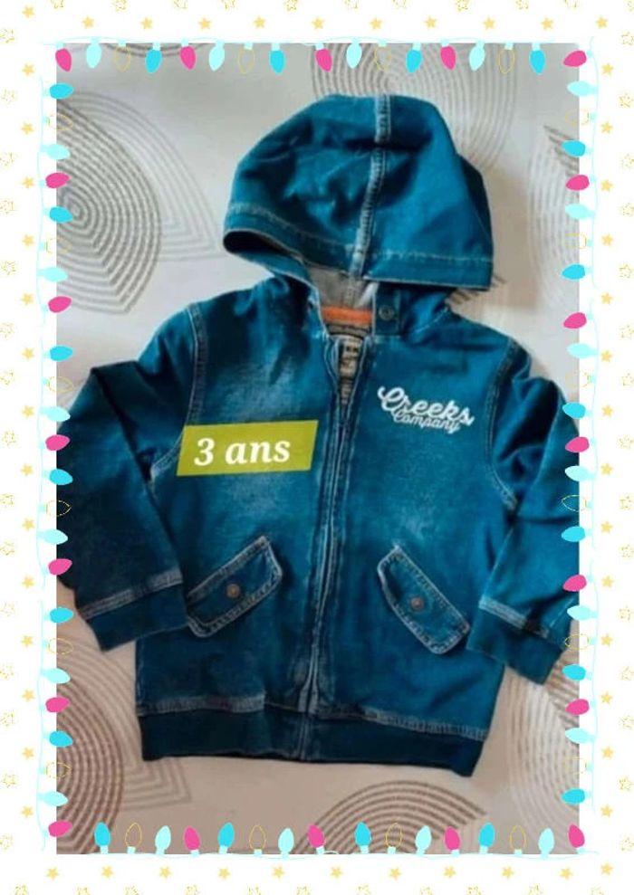 Veste à capuche en jean fermeture zippée garçon 3 ans - photo numéro 1