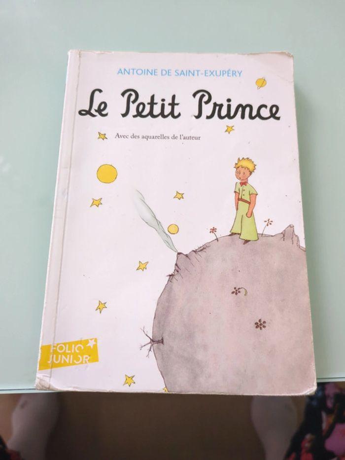 Le petit prince - photo numéro 1