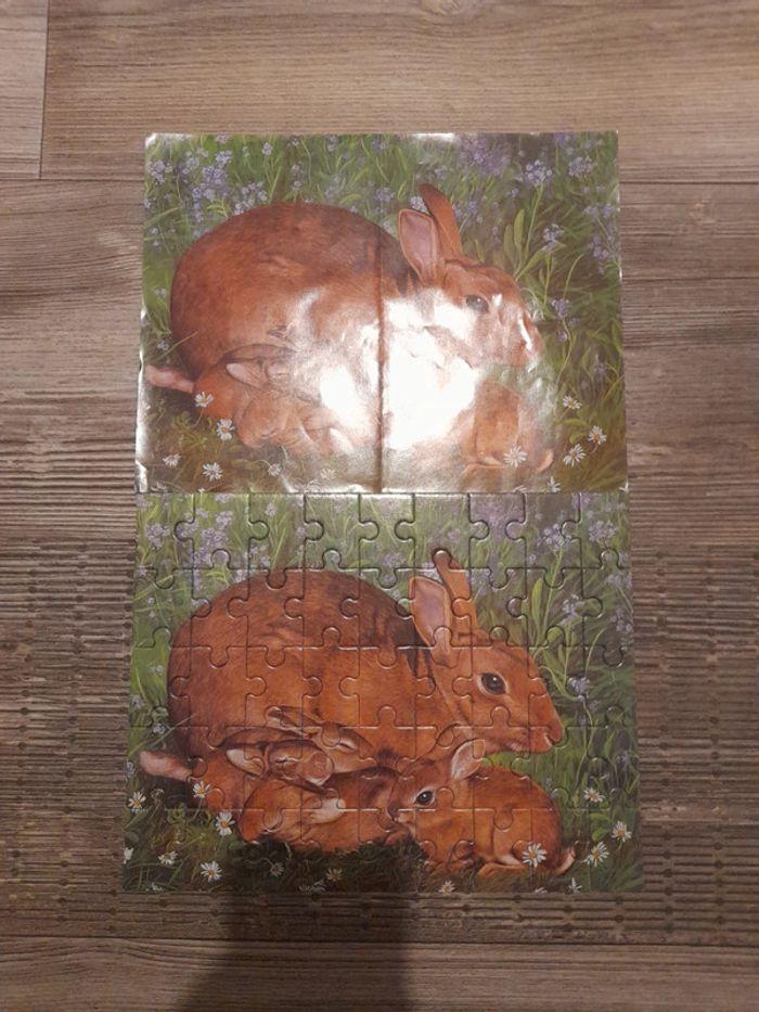 Puzzle animaux - photo numéro 11