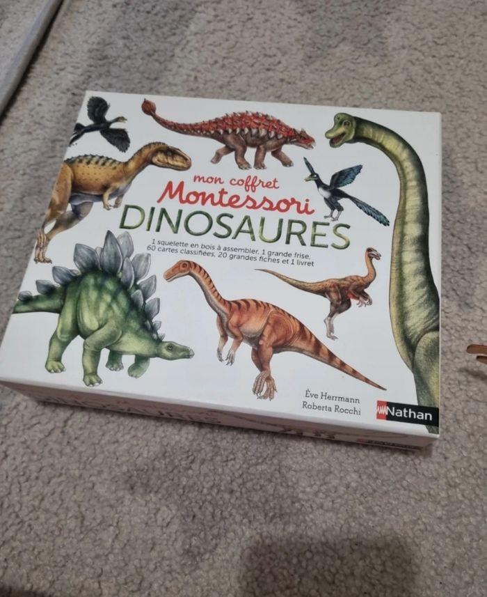 Coffret montessori dinosaures + dino fluo - photo numéro 5