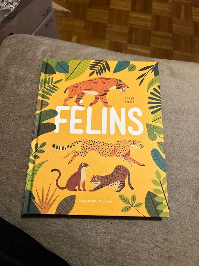 Jolie livre sur les félins - photo numéro 1