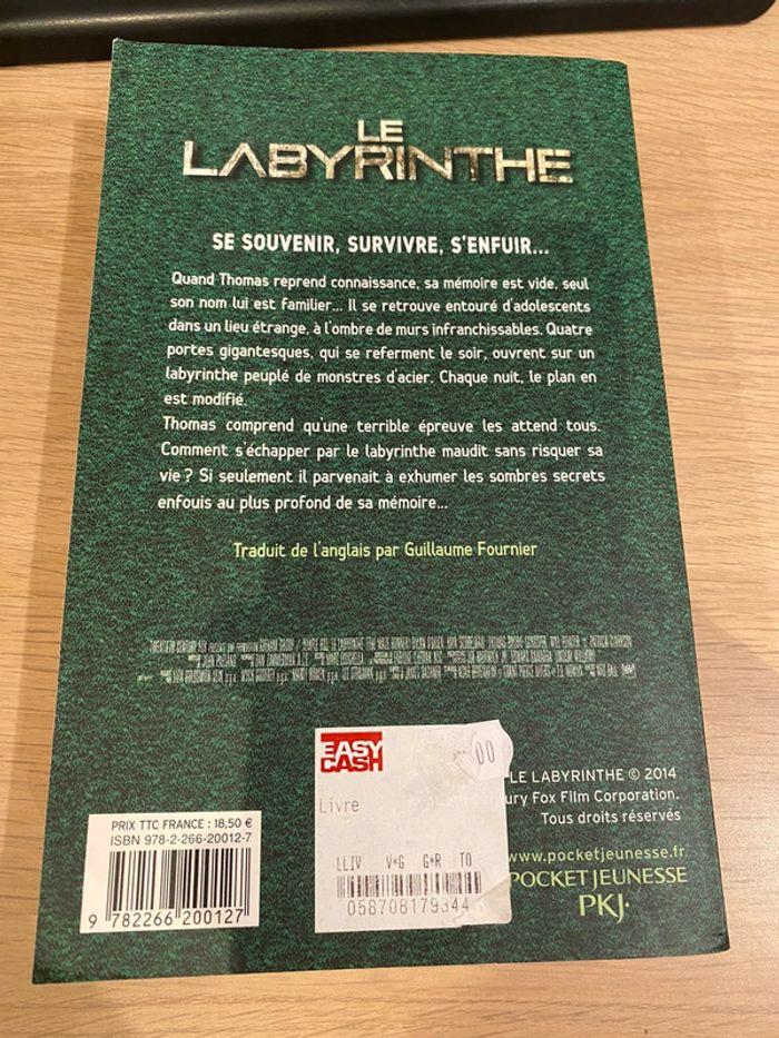 Livre le labyrinthe - photo numéro 2