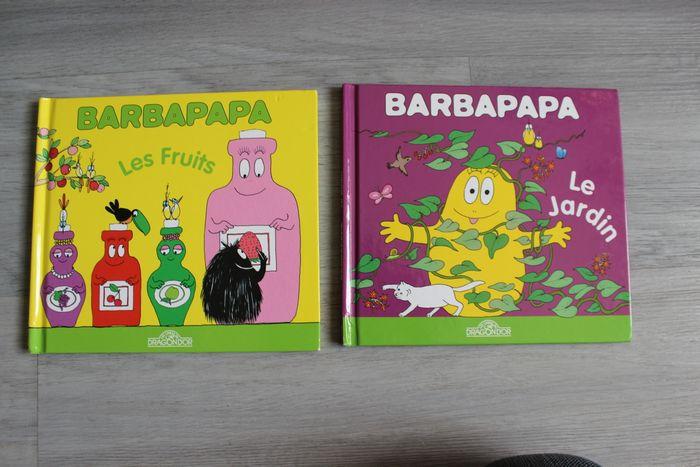 Lot de 2 livres Barbapapa - photo numéro 1