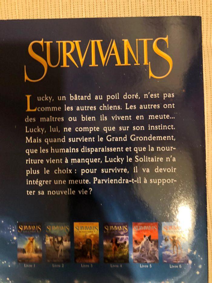 Livre lucky le solitaire 1 - photo numéro 3