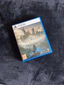 Jeu Hogwarts legacy PS5