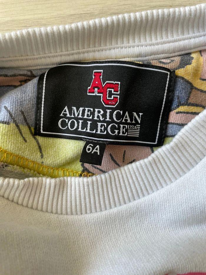 Pull american college - photo numéro 2