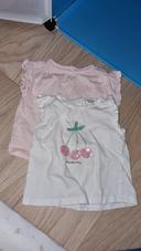 Lot de 2 tee-shirts