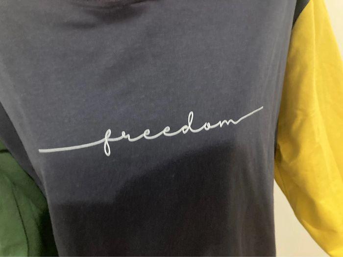 Pull léger sweat à capuche homme freedom - photo numéro 4